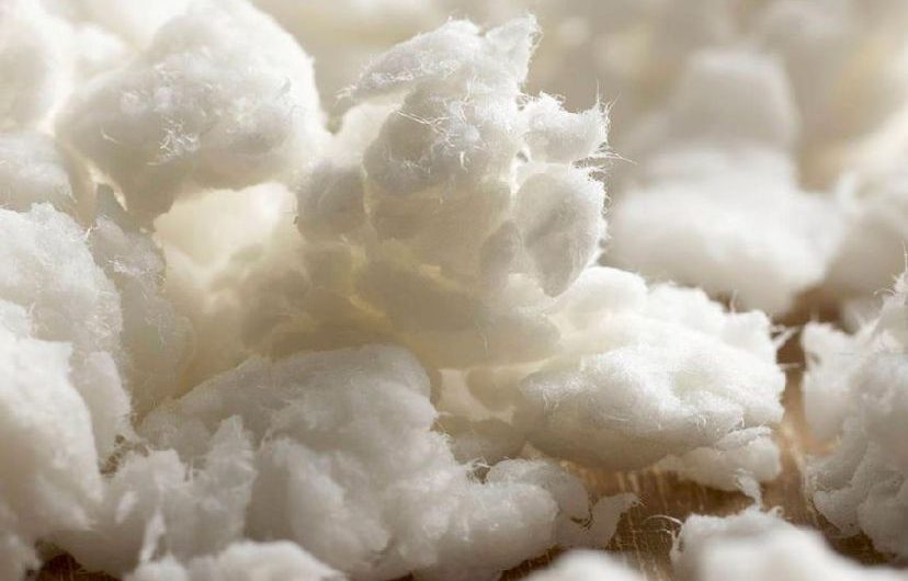 Dissolving Pulp Market: Rising Demand for Sustainable Fibers Drives Growth