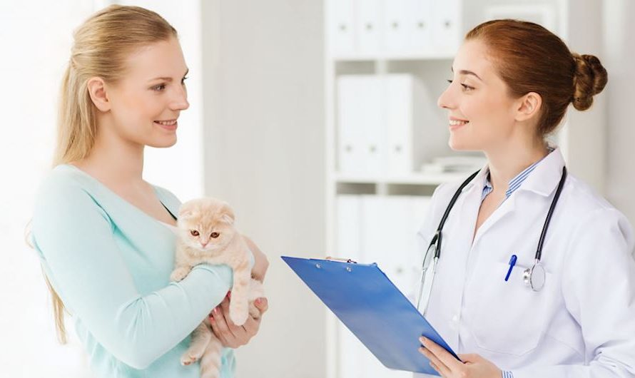 Europe Animal Healthcare Market: Growing Demand For High-Quality Animal Care Drives Market Growth
