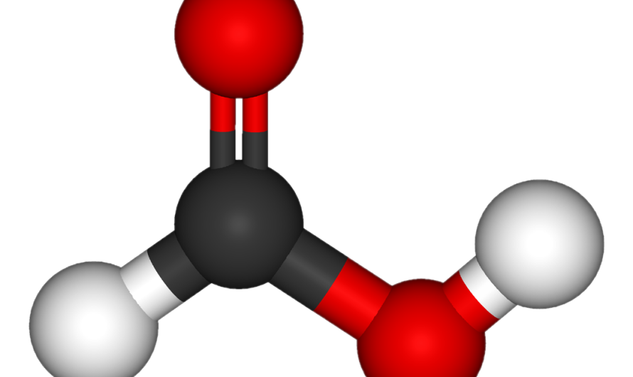 The Formic Acid Market Is Estimated To Witness High Growth Owing To Rising Demand For Preservatives and Increase in Agriculture Sector