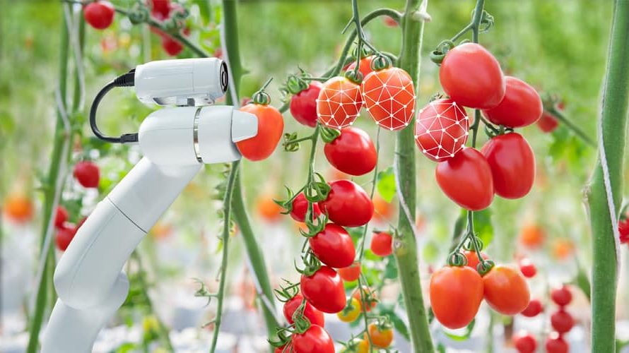 Fruit Picking Robots Market Set to Witness Exponential Growth in the Coming Years
