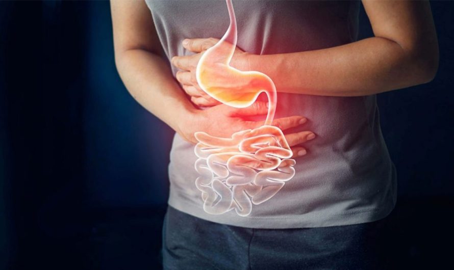 Global Gastritis Treatment Market Is Estimated To Witness High Growth Owing To Increasing Prevalence of Gastritis & Rising Healthcare Expenditure