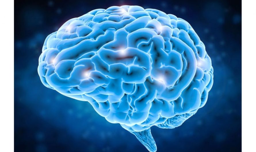 Neuroscience Market Is Estimated To Witness High Growth Owing To Technological Advancements