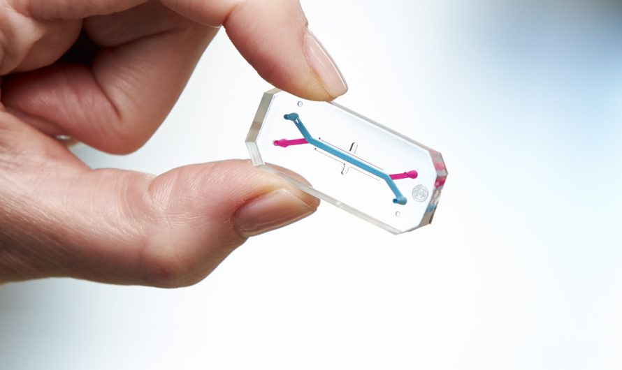 Sustainability in Medical Research: Environmental Benefits of Organ-on-a-Chip Market