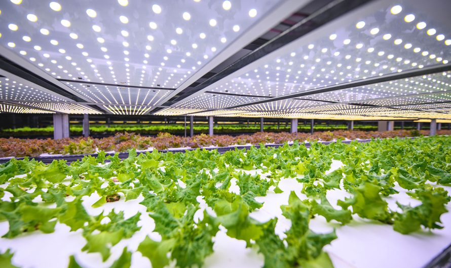 Vertical Farming Market Is Estimated To Witness High Growth Owing To Growing Demand for Locally Grown Produce and Increasing Need for Efficient Food Production