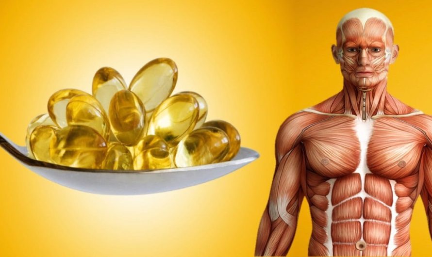 Global DHA Supplements Market Is Estimated To Witness High Growth Owing To Rising Awareness About Health Benefits and Increasing Demand for Omega-3 Fatty Acids