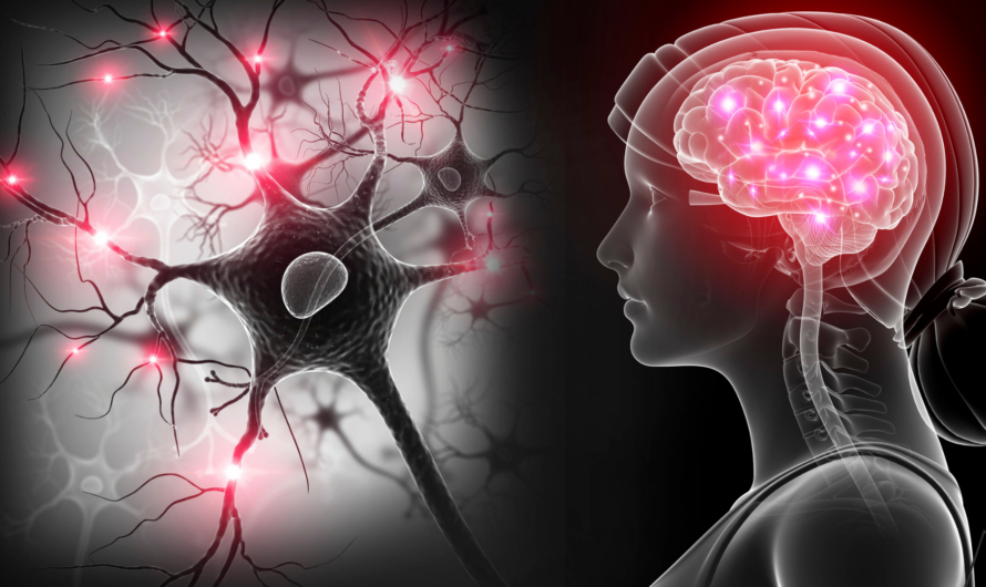 Advanced Neuroimaging Reveals Surprising Link Between Glaucoma and Alzheimer’s Disease