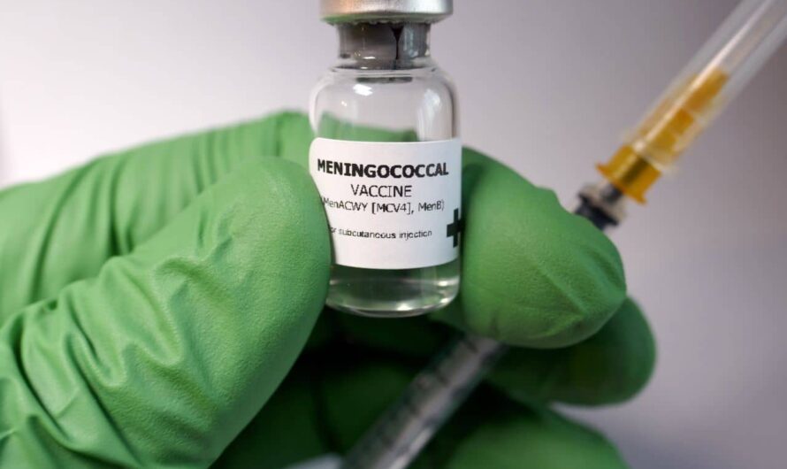 Meningococcal Vaccines Market: Growing Demand for Vaccination Drives Market Growth