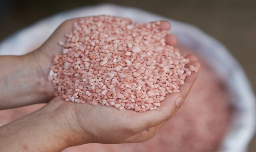 Growing Demand for High Yield Crops to Augment the Growth of the Potash Fertilizers Market