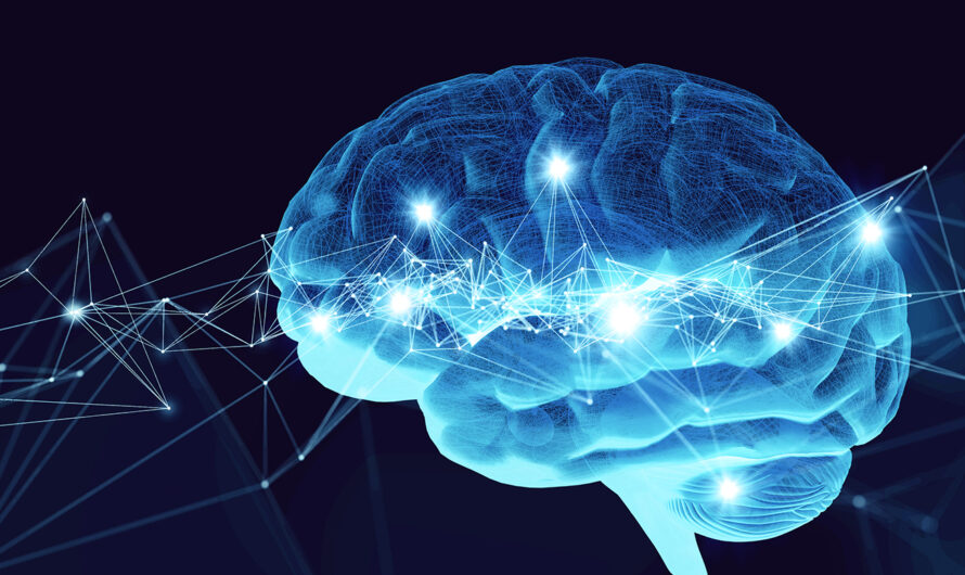 New Study Reveals Different Cortical Networks Engaged During Unconsciousness