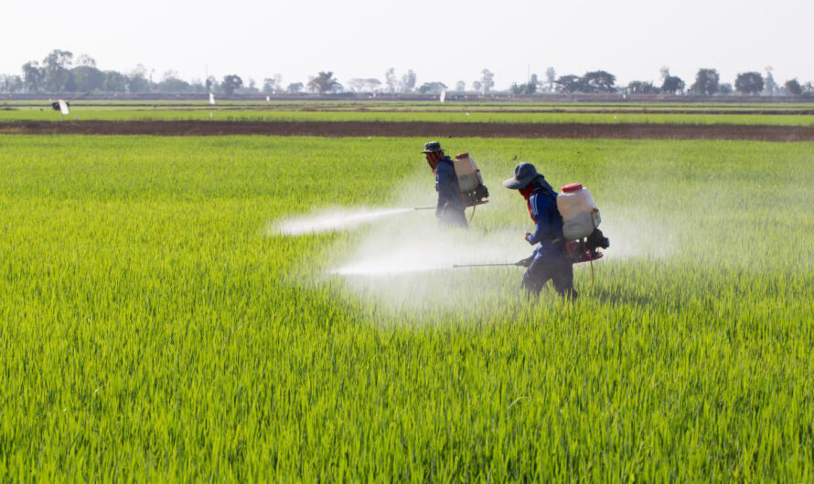 Modern Agriculture System Innovations Are Anticipated To Open Up New Avenue For Crop Protection Chemicals