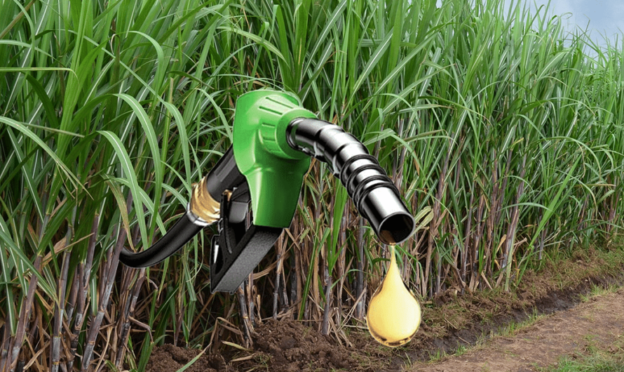 Corn Ethanol Is The Largest Segment Driving The Growth Of Ethanol Market