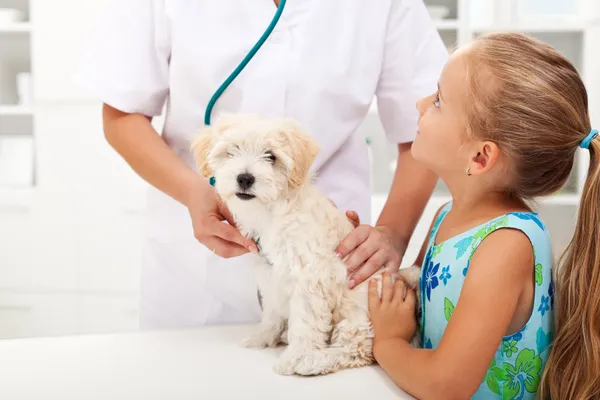 Growing Pet Ownership Is Expected To Boost The Growth Of Europe Animal Healthcare Market
