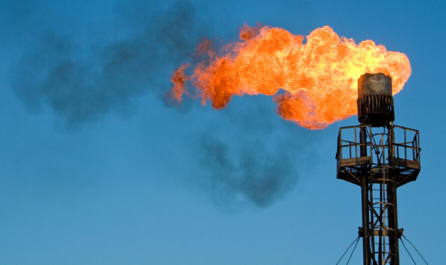 Flare Gas Recovery Systems Segment Is The Largest Segment Driving The Growth Of Flare Gas Recovery Systems Market