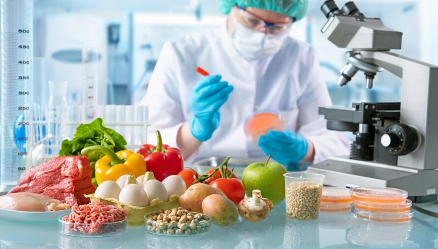 Food Testing Segment Is The Largest Segment Driving The Growth Of Food Safety Products And Testing Market
