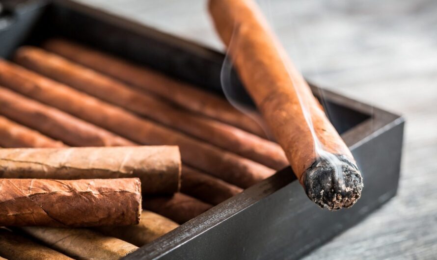 India Cigar and Cigarillos Market is Projected to Propelled by Growing Popularity Among Youth