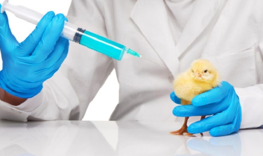 Poultry Vaccine Market Is Expected To Be Flourished By Technological Advancements In Vaccine Production