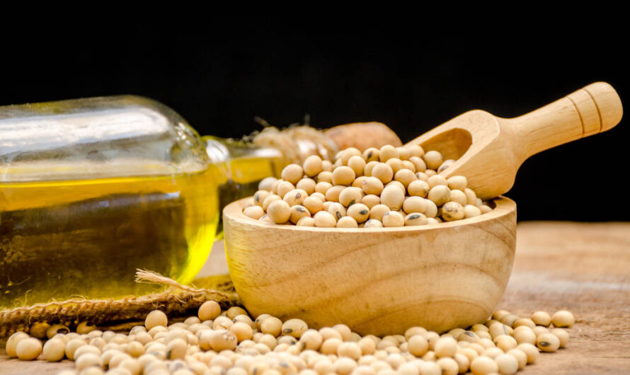 The Global Soy Oil And Palm Oil Market Is Estimated To Propelled By Growing Demand For Condiments And Dressings