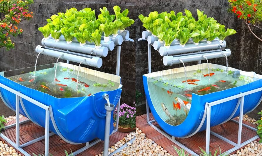 The Aquaponics Market Is Driven By Sustainable Food Production Methods