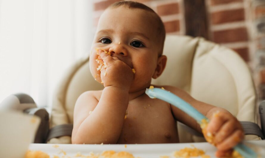 Baby Food Market Is Expected To Be Flourished By Rising Health Consciousness Among Parents