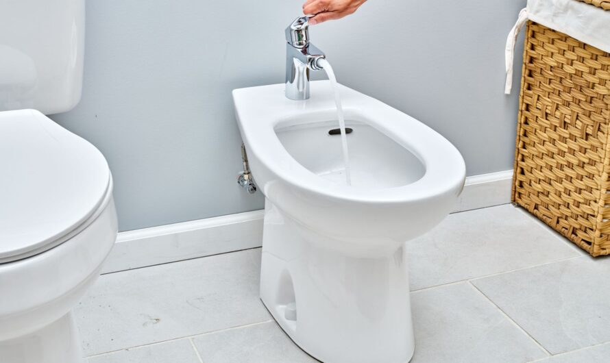 Growing Hygiene Awareness Is Expected To Propel The Bidet Seat Market Globally