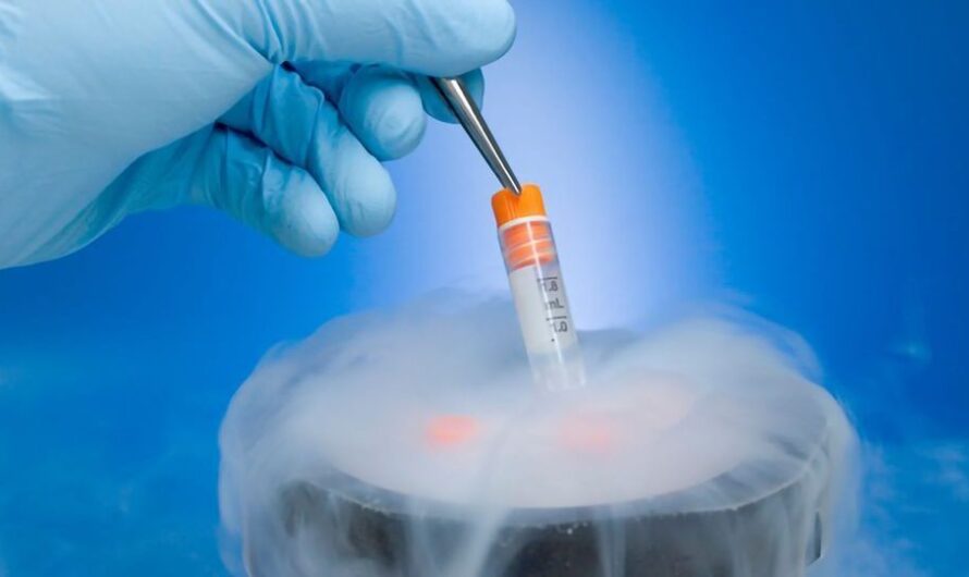 The Global Cell Cryopreservation Market Is Estimated To Propelled By Growing Adoption Of Regenerative Medicines And Stem Cell Research