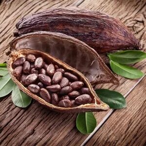 The global Cocoa Market is estimated to Propelled by increasing healthy snacking trends