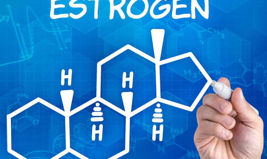 The Estrogen Blockers Market driven by increasing prevalence of estrogen-dependent diseases