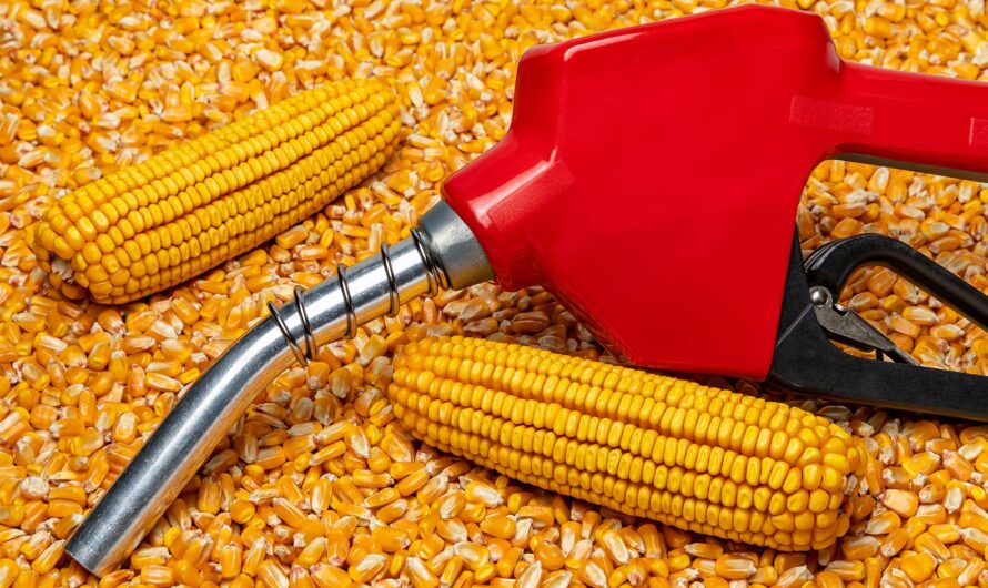 The global ethanol market is estimated to Propelled by growing adoption of advanced biofuel policies