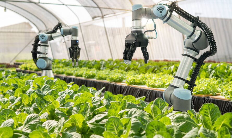 Automating Agriculture: The Role of Robotics in Enhancing Efficiency and Sustainability on the Farm