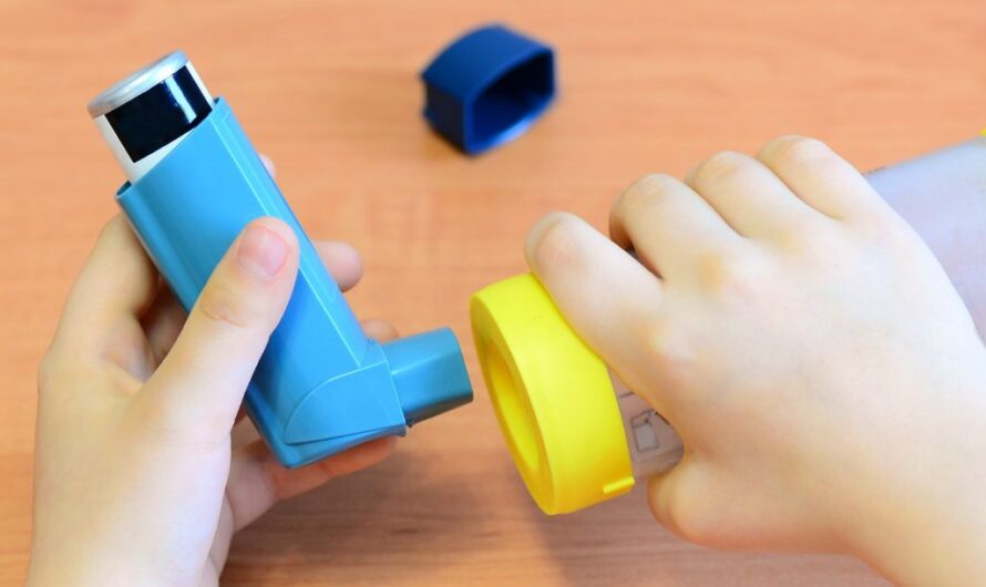 Asthma Spacers Market Estimated to Witness High Growth Owing to Increased Adoption of Pressurised Metered Dose Inhalers (pMDIs)