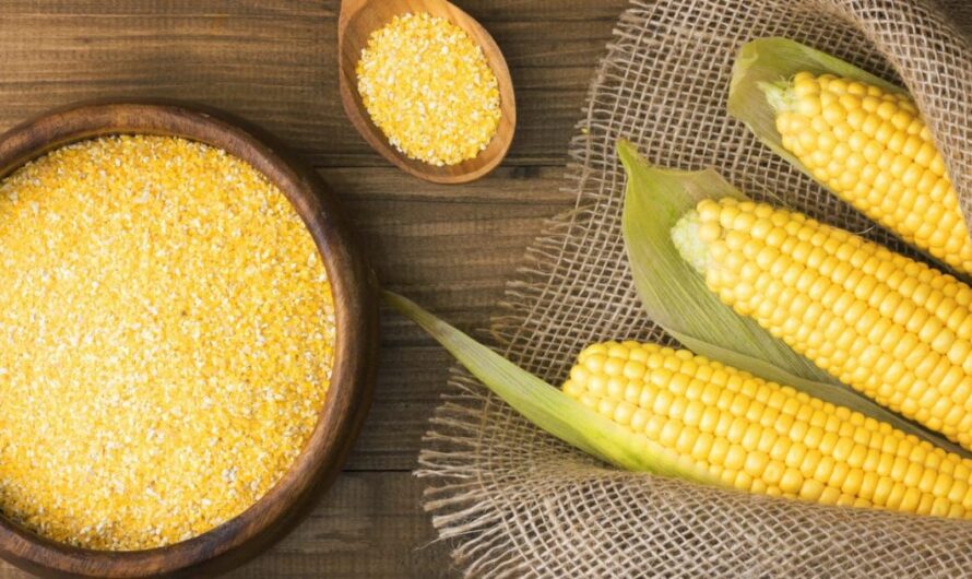Corn Grit: A Grainy Marvel in Modern Cuisine and Food Processing Innovations