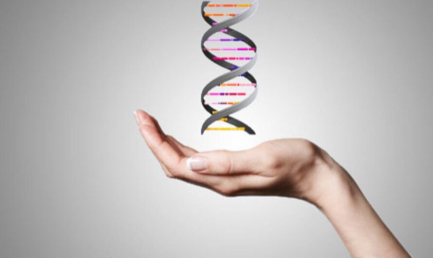 Epigenetics Market Poised for High Growth Due to Technological Advancements
