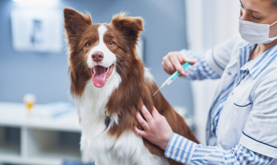 Global Canine Influenza Vaccine Market is estimated to witness high growth owing to Increased Pet Adoption Rates