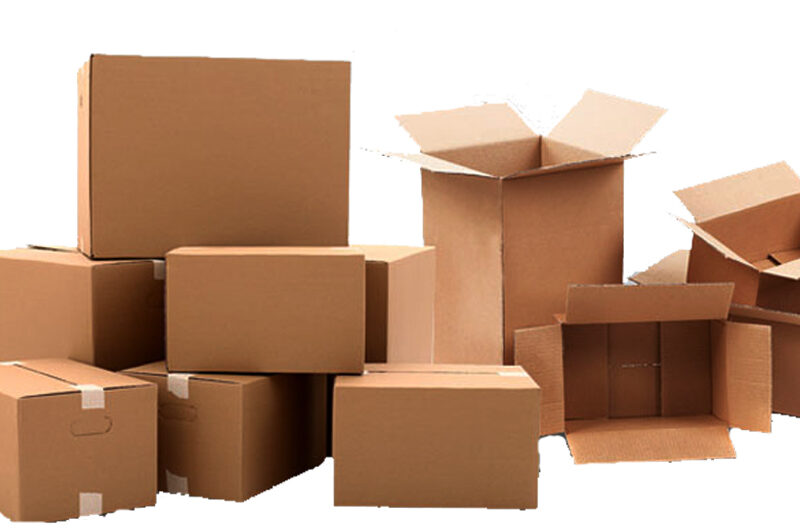 ASEAN Folding Cartons Market: Essential Packaging for Southeast Asian Businesses In Industry