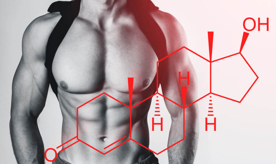 Testosterone Booster Market is Estimated to Witness High Growth Owing to Increasing Popularity of Natural Testosterone Boosters
