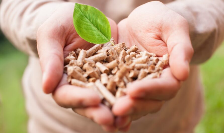 Biomass Fuel Market Grows with Government Support for Renewables