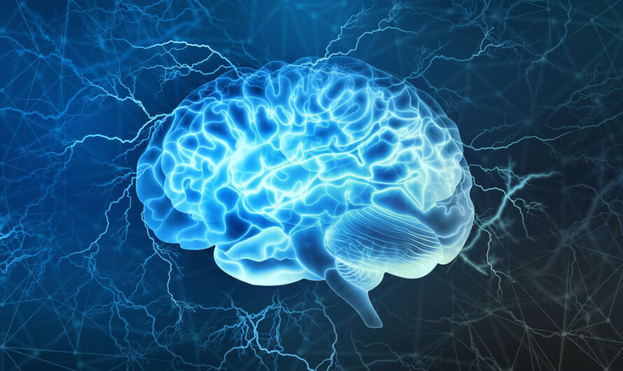 Brain Imaging Study Explores THC’s Effects on Cognitive Function