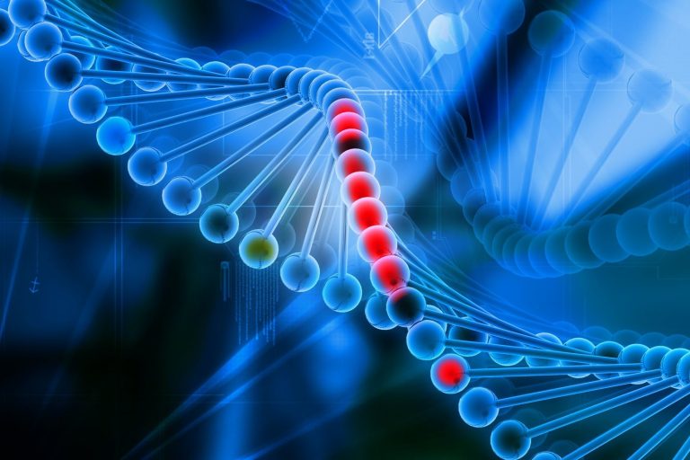 Strong Growth in Digital Genome Market Driven by Rising Healthcare Adoption