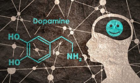 Dopamine Role