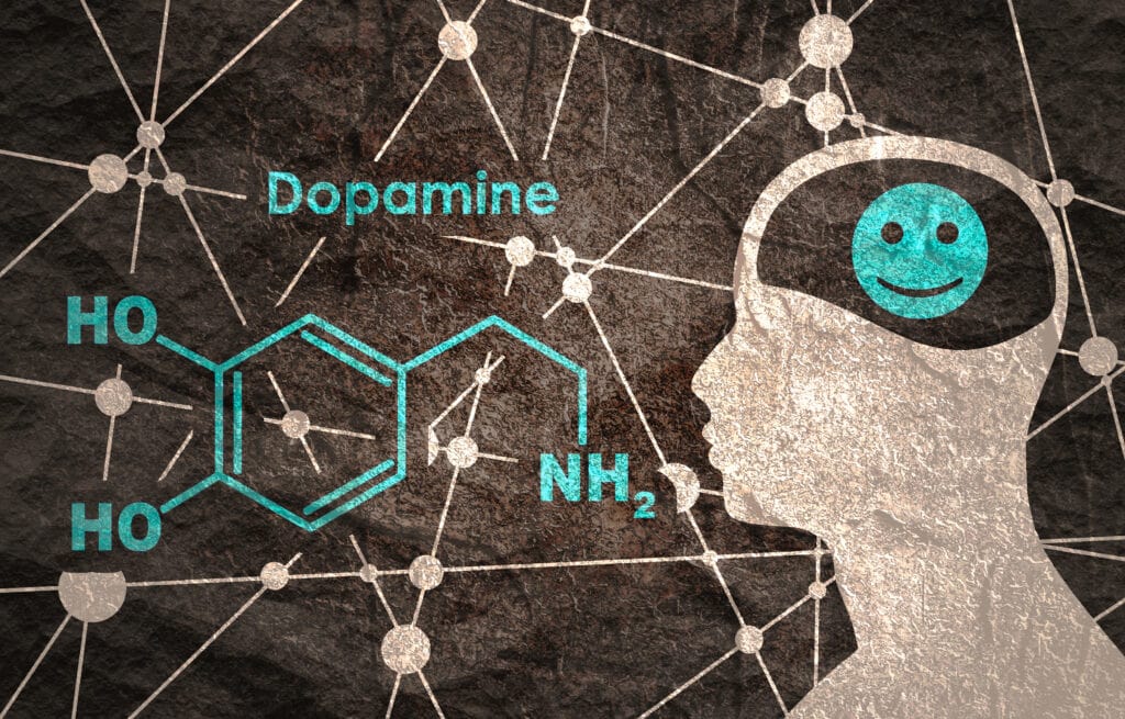 Dopamine Role