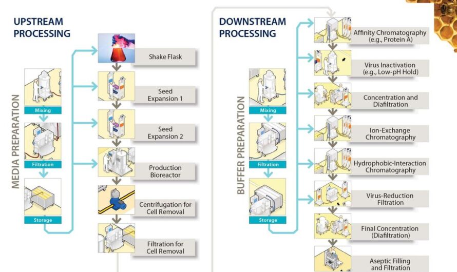 Downstream Processing Market is Estimated to Witness High Growth Owing to Advancements in Chromatography Techniques