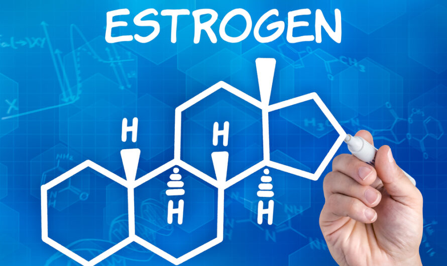 Estrogen Blockers Market is Estimated to Witness High Growth Owing to Rising Usage in Hormonal Therapy