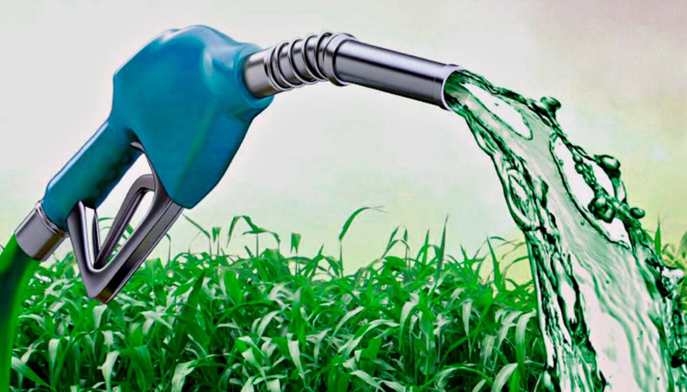 India Biofuels Market