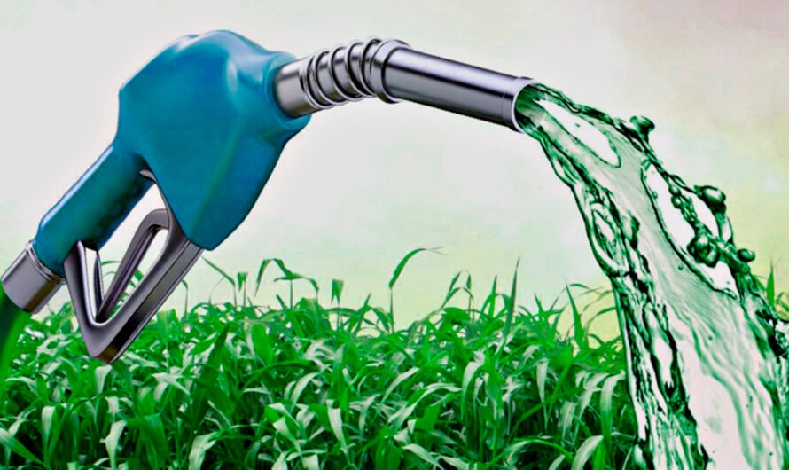 India Biofuels Market Expected to Grow at a High Rate Due to Increasing Focus on Renewable Energy