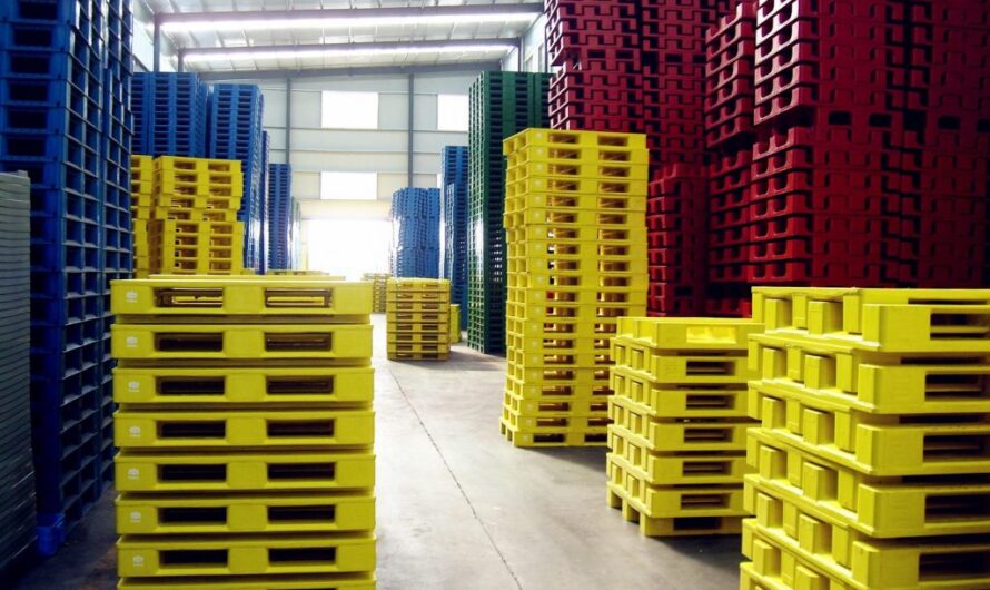 The Rise of the Plastic Pallet Industry: An Overview