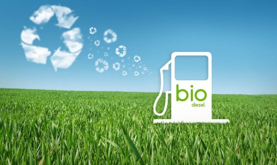 Renewable or Bio Jet Fuel Market is Poised for Growth Amidst Rising Demand for Sustainable Aviation