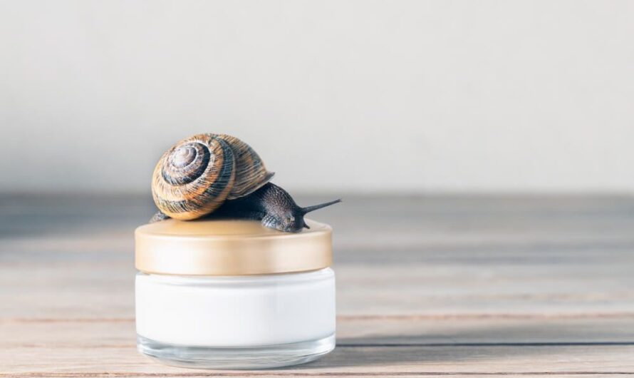Snail Beauty Products: Nature’s Secret To Youthful Skin