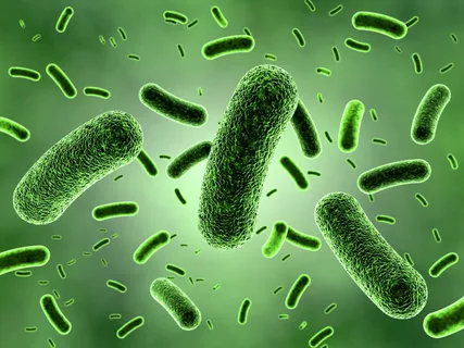 Researchers Discover Innovative Method for Beneficial Bacteria to Thrive in Extreme Conditions and Space