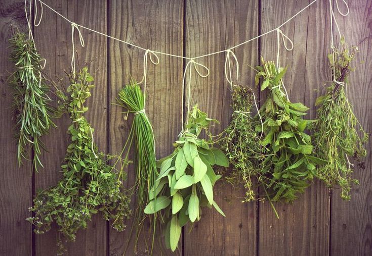 Dried Herbs: Unraveling the Secrets Exploring the Uses and Benefits of Commonly Consumed Dried plants