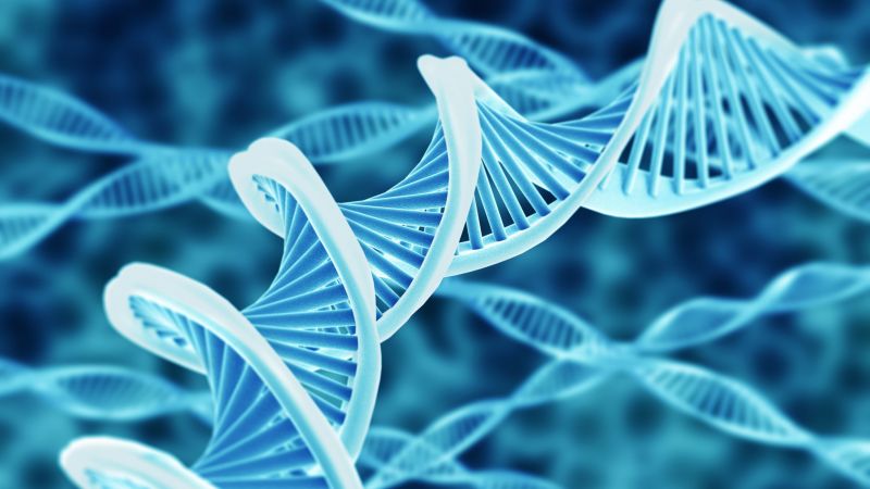 Genomics Market is Witness to High Growth Owing to Advancements in Genetic Sequencing Technologies